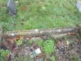image of grave number 429105